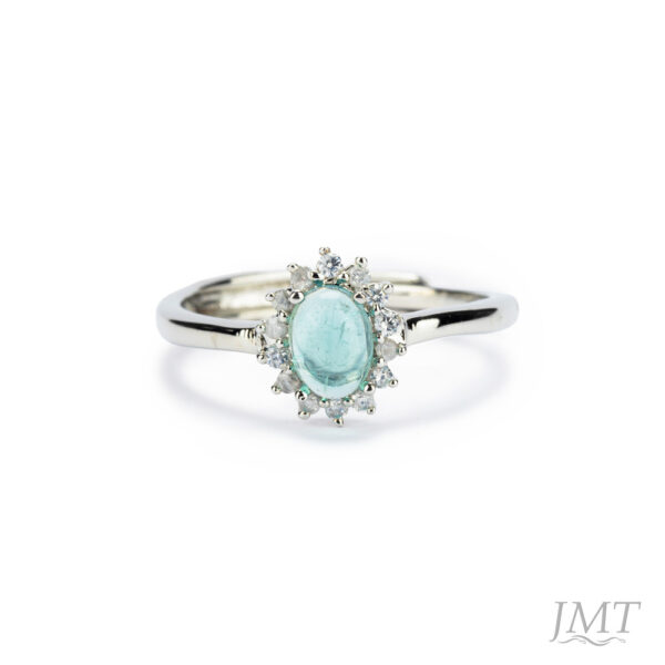 Appetite 925 Silver Ring