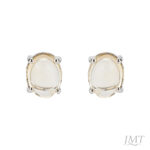 Citrine 925 Silver Earrings