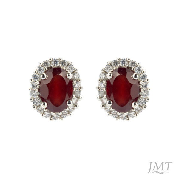 Garnet 925 Silver Earrings