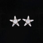 925 Sterling Silver Earrings