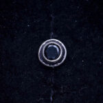 925 Sterling Silver Earrings