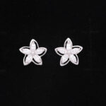 925 Sterling Silver Earrings