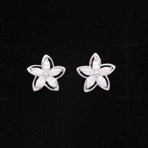 925 Sterling Silver Earrings
