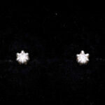 925 Sterling Silver Earrings