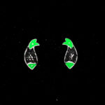 925 Sterling Silver Earrings