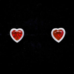 925 Sterling Silver Earrings