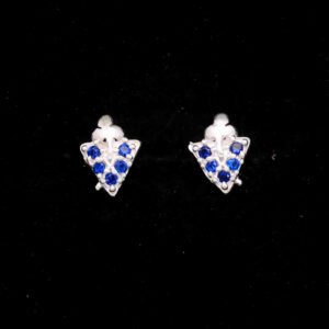 925 Sterling Silver Earrings