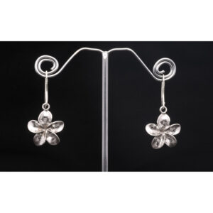 925 Sterling Silver Earrings