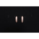 925 Sterling Silver Earrings