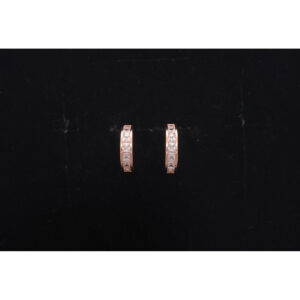 925 Sterling Silver Earrings