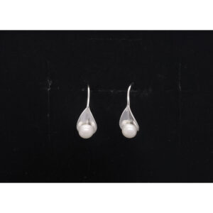 925 Sterling Silver Earrings