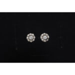 925 Sterling Silver Earrings