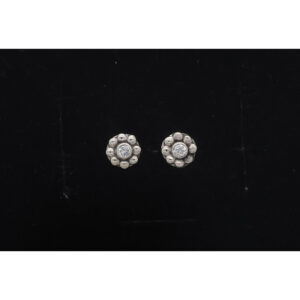 925 Sterling Silver Earrings