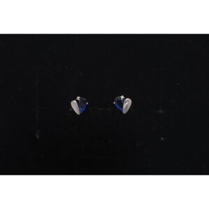 925 Sterling Silver Earrings