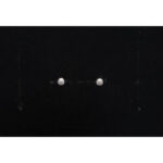 925 Sterling Silver Earrings