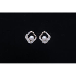 925 Sterling Silver Earrings