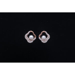 925 Sterling Silver Earrings