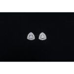 925 Sterling Silver Earrings