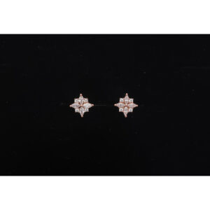 925 Sterling Silver Earrings