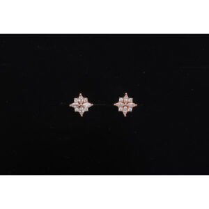 925 Sterling Silver Earrings