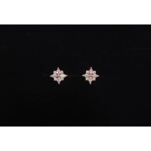925 Sterling Silver Earrings