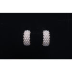 925 Sterling Silver Earrings