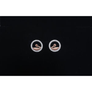 925 Sterling Silver Earrings