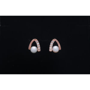 925 Sterling Silver Earrings