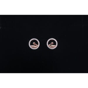 925 Sterling Silver Earrings