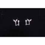 925 Sterling Silver Earrings