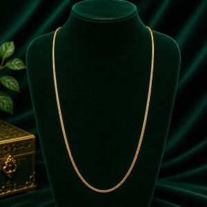 V CHAIN