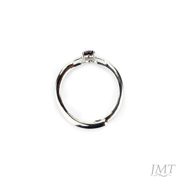Garnet 925 Silver Ring